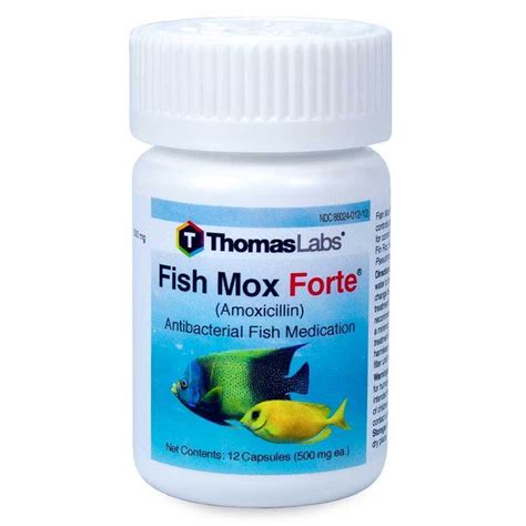 Fish mox forte 500mg 100 Capsules Free Shipping